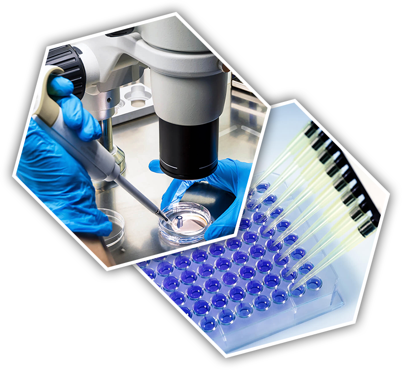 About Company - Golden Building Chemicals, Chennai. About Company - Golden Building Chemicals, Chennai.